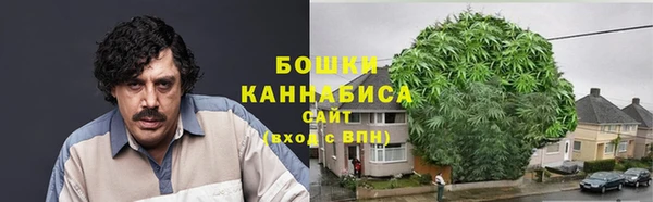 ГАЛЛЮЦИНОГЕННЫЕ ГРИБЫ Волосово
