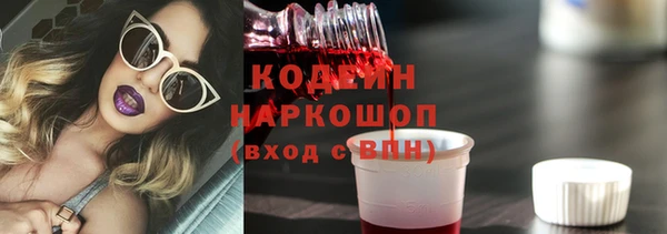 винт Вяземский
