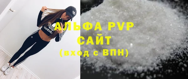 винт Вяземский