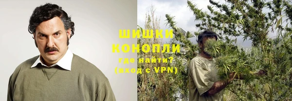 винт Вяземский