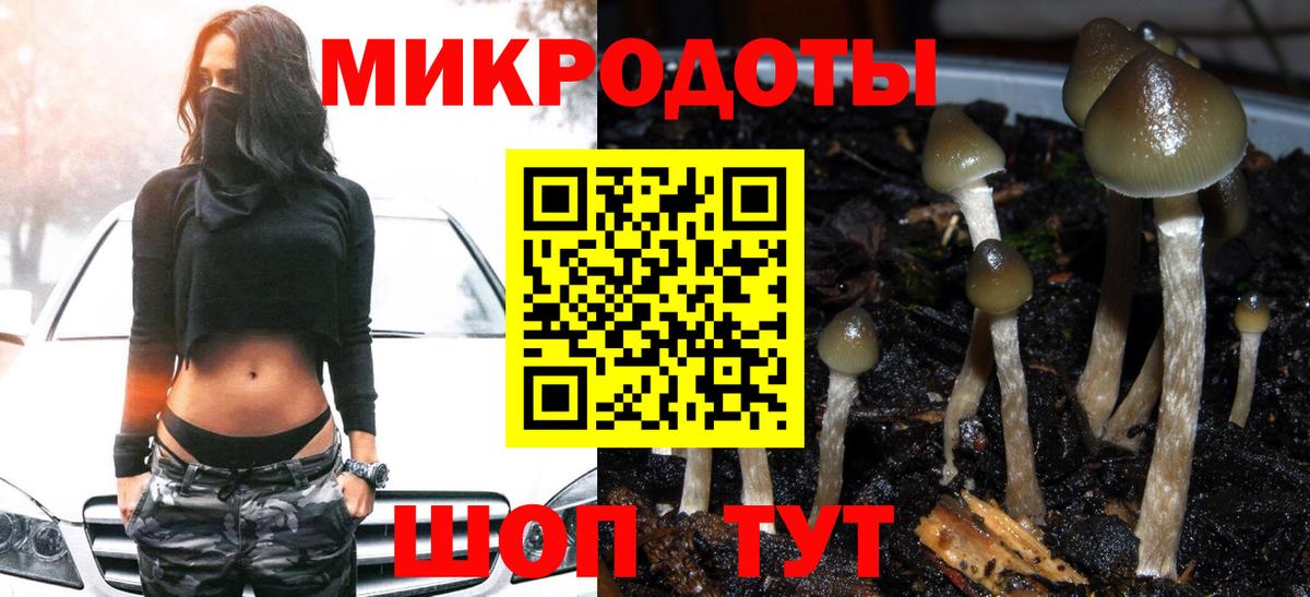 Владивосток  Псилоцибиновые грибы MAGIC MUSHROOMS  Вход с VPN 