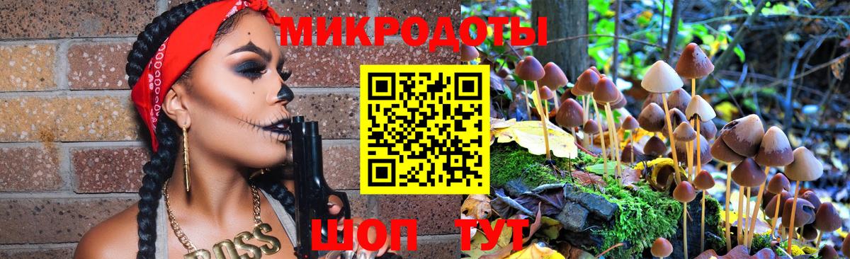 Псилоцибиновые грибы GOLDEN TEACHER Владивосток