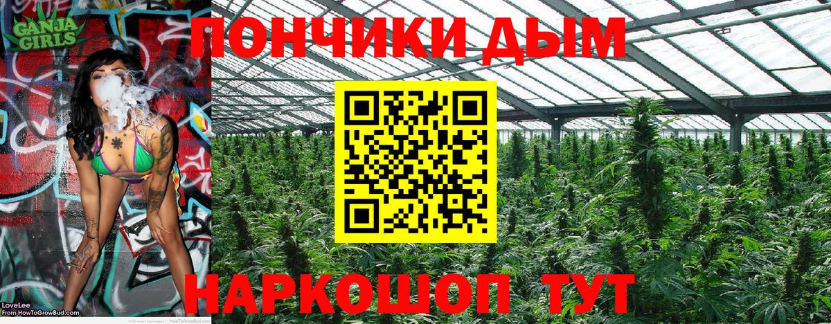 Каннабис Bruce Banner  Бошки марихуана план  Вход с VPN  Владивосток  Марихуана гибрид  Бошки марихуана Ganja 